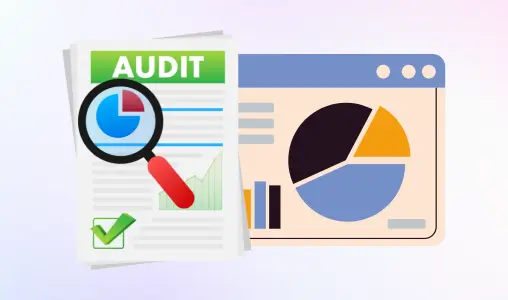 professional website audit